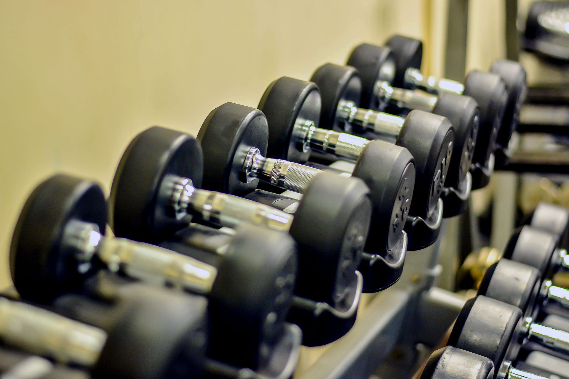 Free weights at the Kingsbury gym